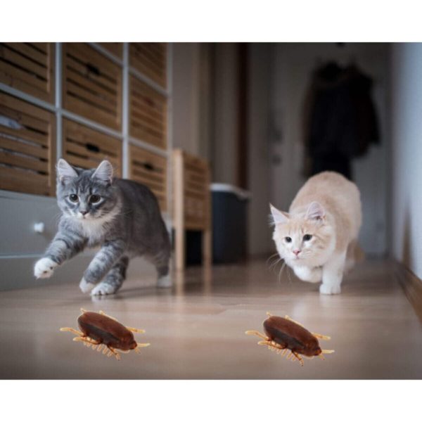 Mini Böcek Haraketli Kedi Oyuncağı Süper Yeni Model Titreşimle Hareket Ediyor