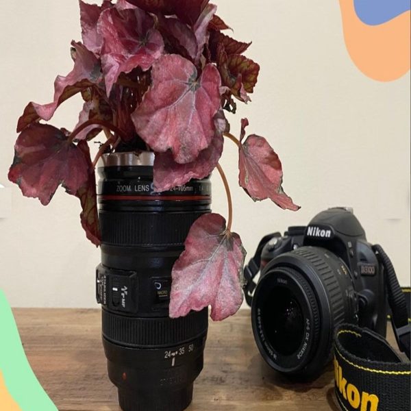 Objektif saksı cuplens saksı masa üstü  mini saksı plastik saksı